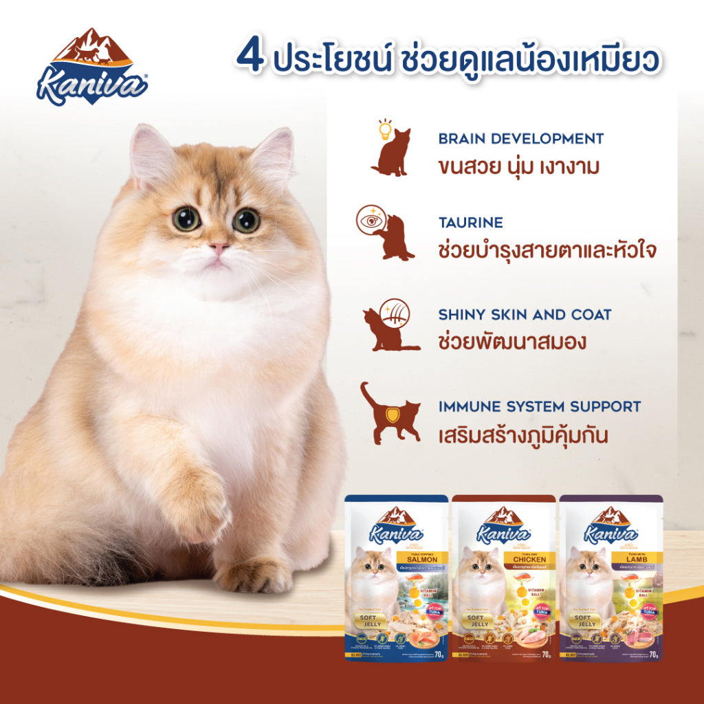 Kaniva Pouch อาหารเปียกคานิว่า เนื้อปลาทูน่าเน้นๆ ขนาด 70g