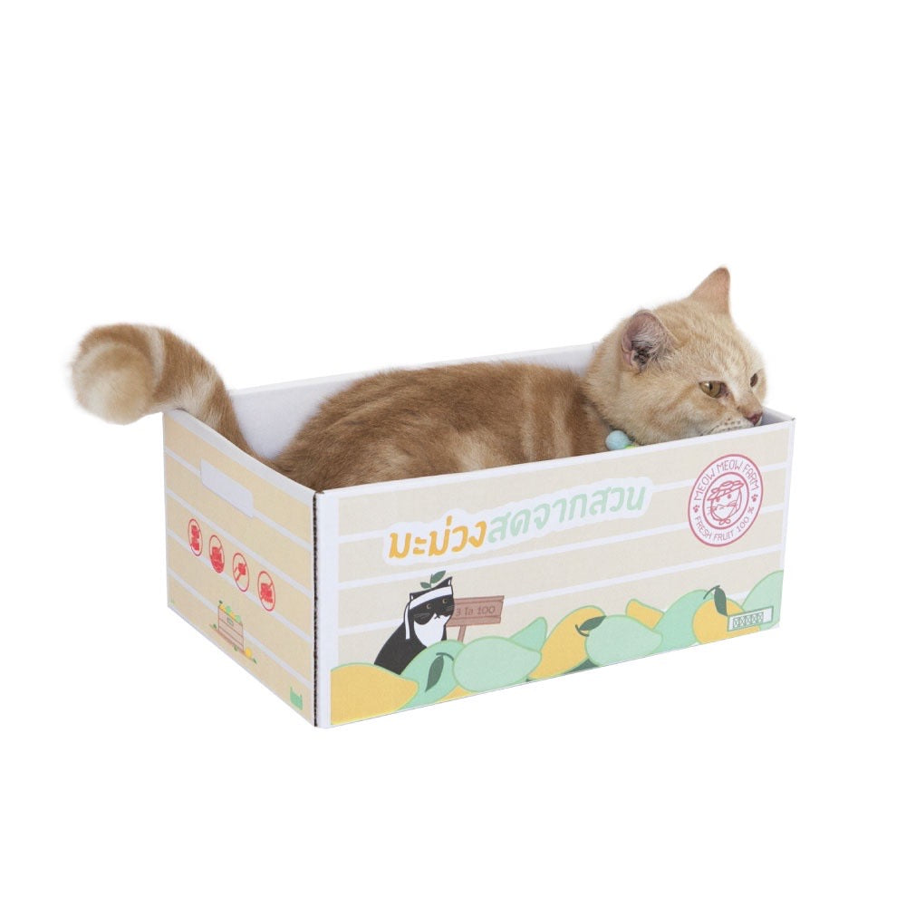 KAFBO Cat box - กล่องลังแมว ที่ลับเล็บแมว ที่ฝนเล็บแมว