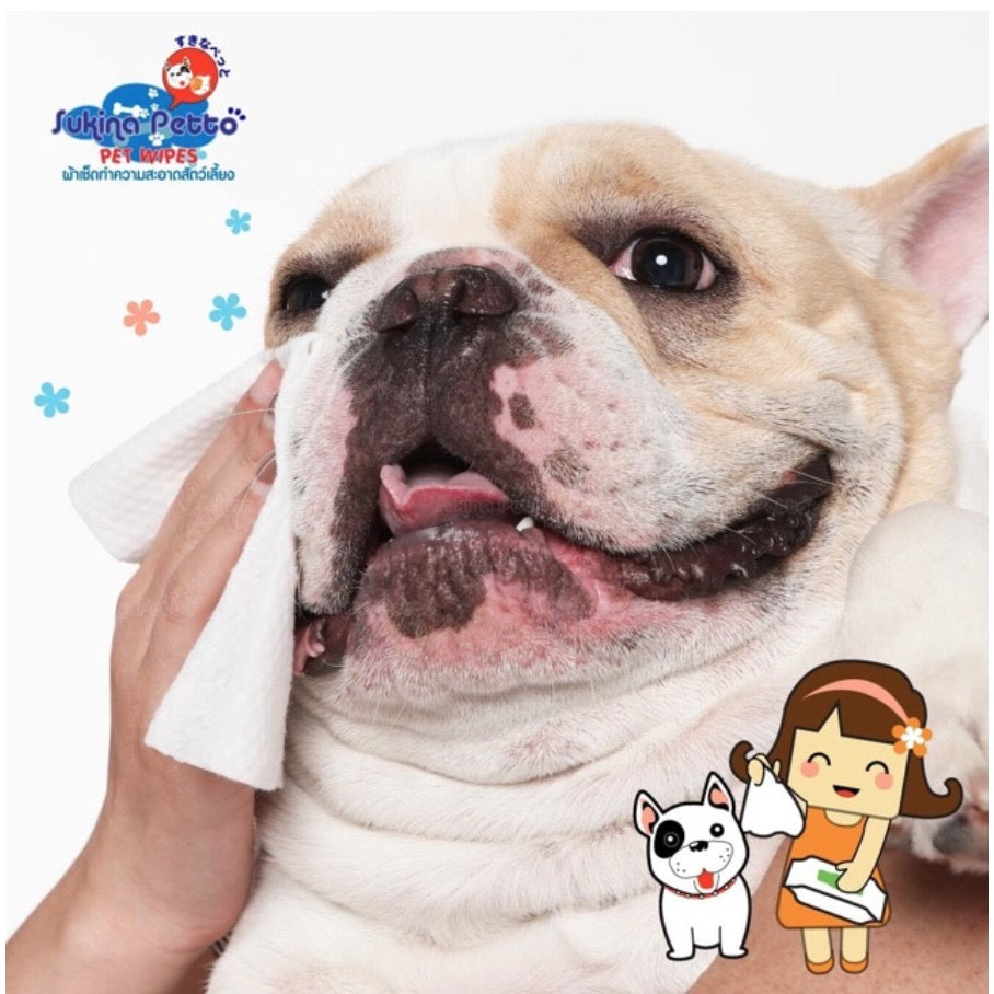 Sukina Petto Pet Wipes ทิชชู่เปียกสำหรับสัตว์เลี้ยง ไซส์ผืน 22x22cm ห่อใหญ่บรรจุ 70ผืน