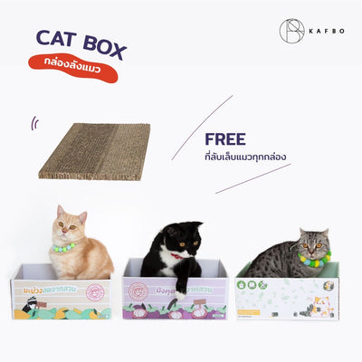 KAFBO Cat box - กล่องลังแมว ที่ลับเล็บแมว ที่ฝนเล็บแมว