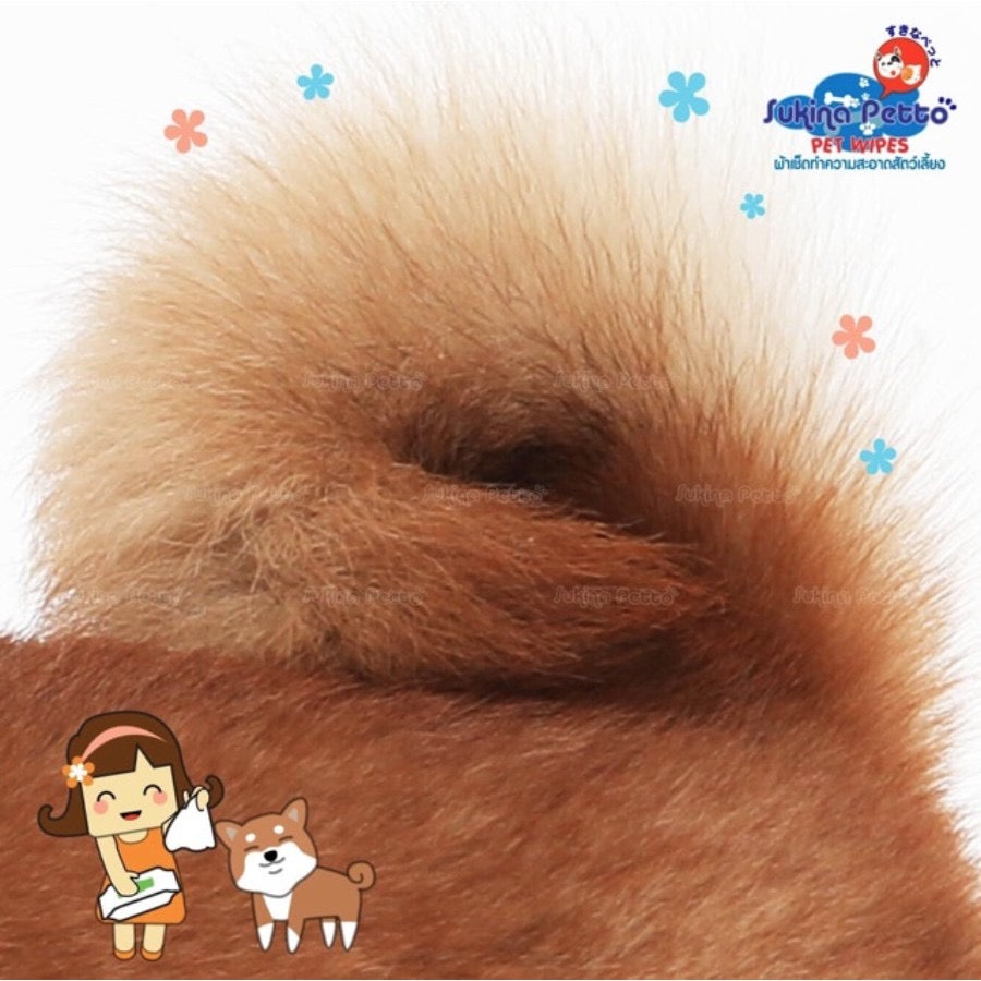 Sukina Petto Pet Wipes ทิชชู่เปียกสำหรับสัตว์เลี้ยง ไซส์ผืน 22x22cm ห่อใหญ่บรรจุ 70ผืน