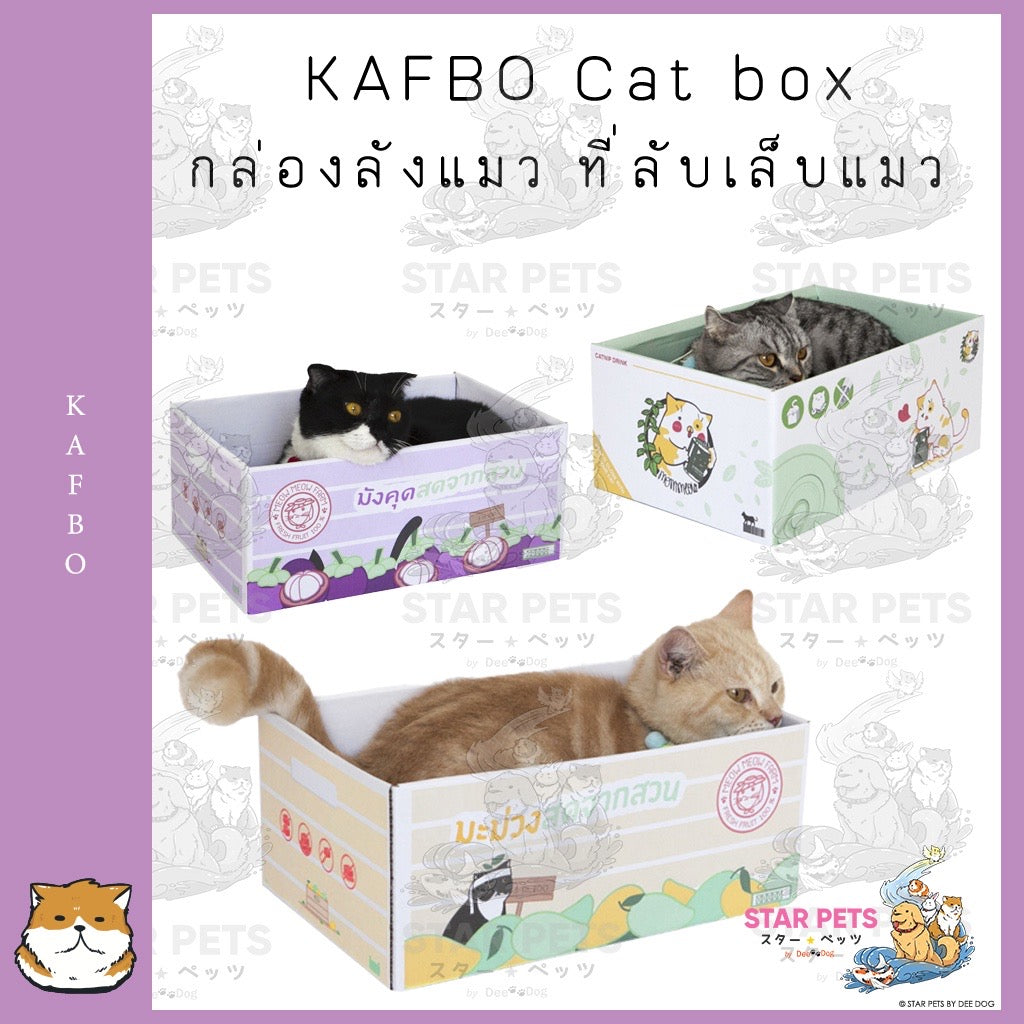 KAFBO Cat box - กล่องลังแมว ที่ลับเล็บแมว ที่ฝนเล็บแมว