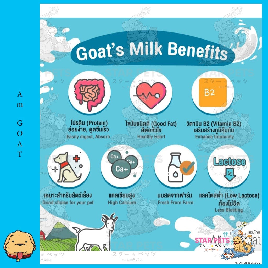 Am Goat Goat Milk Tablets นมแพะอัดเม็ด มี 2 ขนาดเม็ดเล็ก เม็ดใหญ่