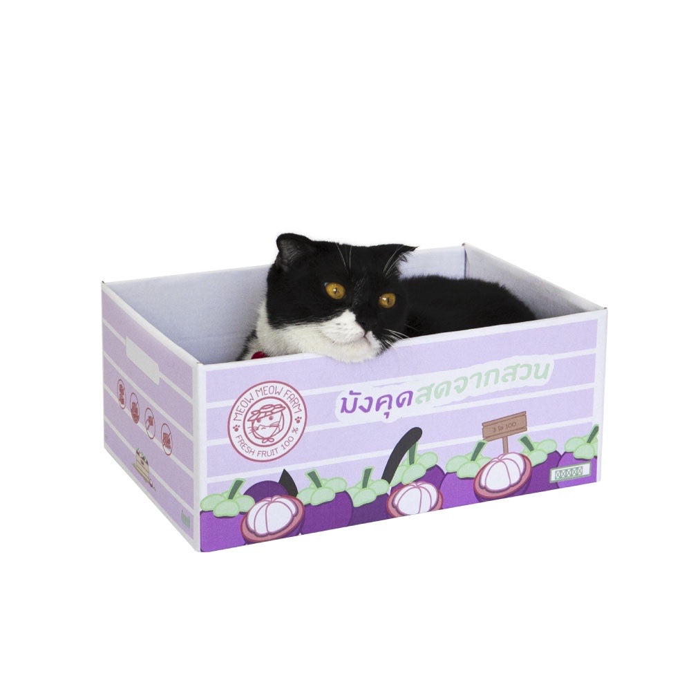 KAFBO Cat box - กล่องลังแมว ที่ลับเล็บแมว ที่ฝนเล็บแมว